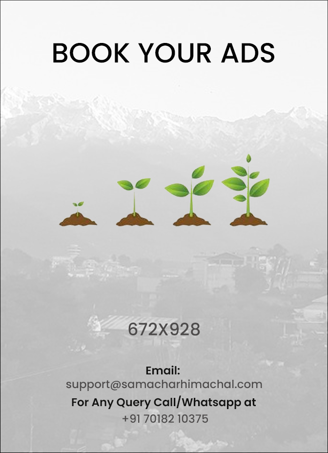 long-height-advt