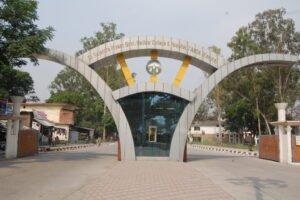 स्प्रे करते समय युवक (Youth) की बिगड़ी तबीयत